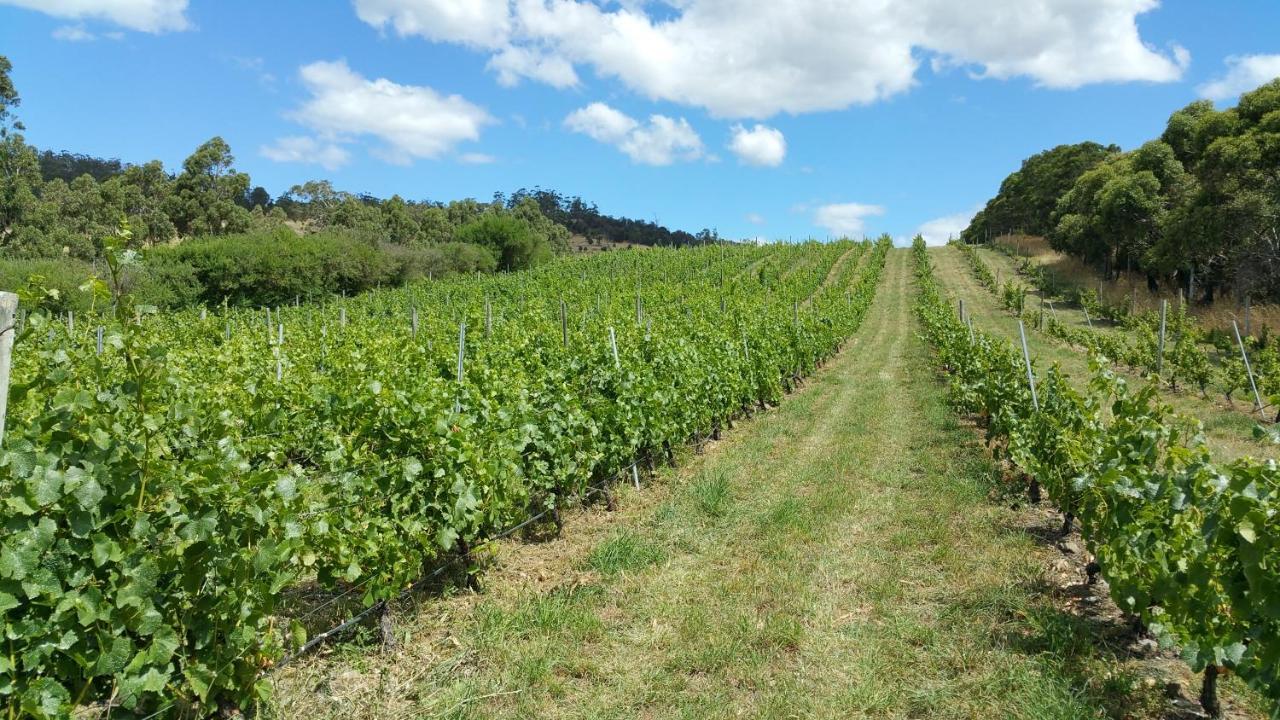 호바트 Charles Reuben Estate 게스트하우스 외부 사진