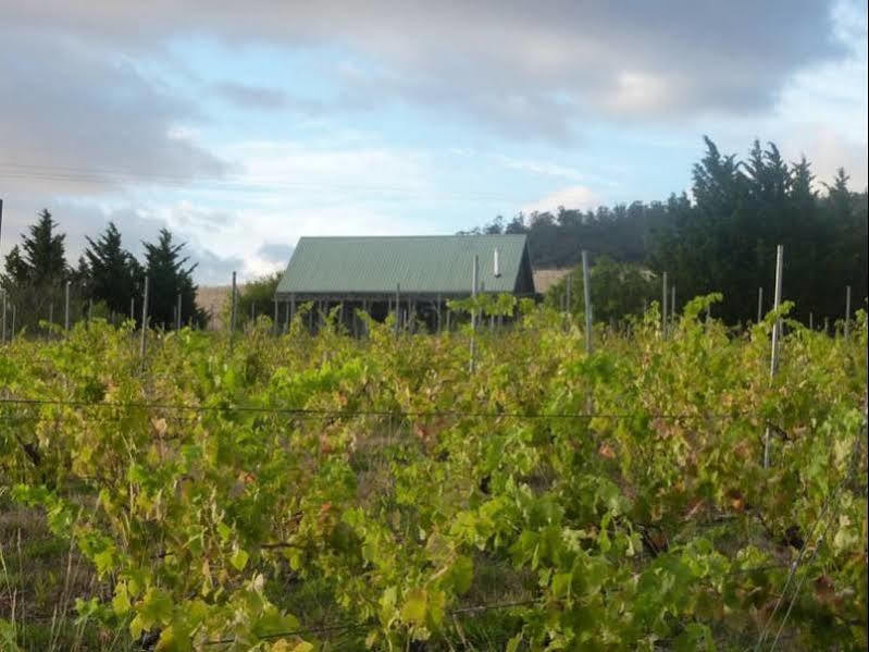 호바트 Charles Reuben Estate 게스트하우스 외부 사진